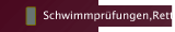 Schwimmprüfungen,Rettungstaucher